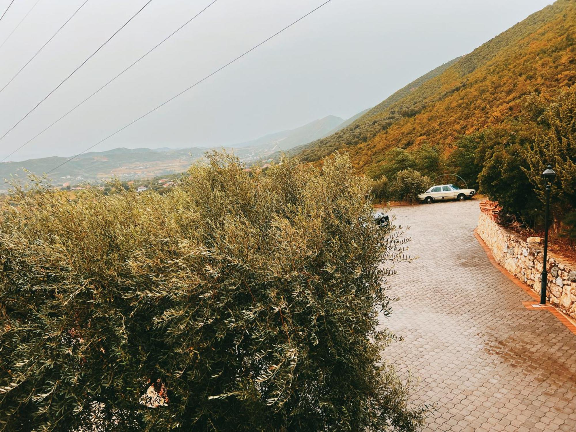טיראנה Chateau Fasel מראה חיצוני תמונה